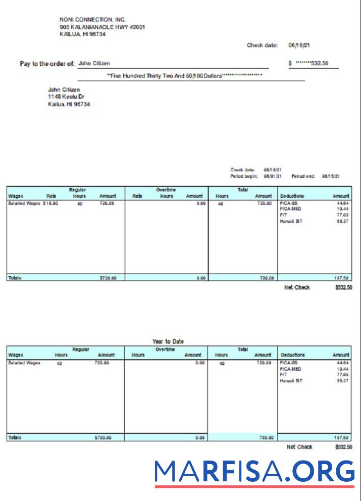 Realistic USA HI pay stub template
